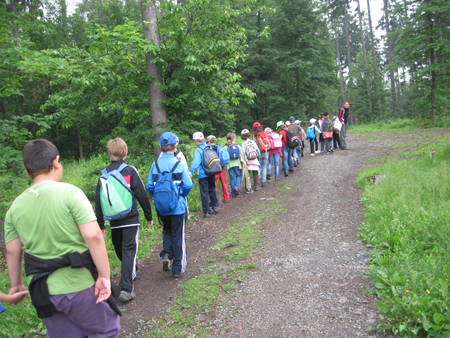 2AZalesnimistrasidylky (28)